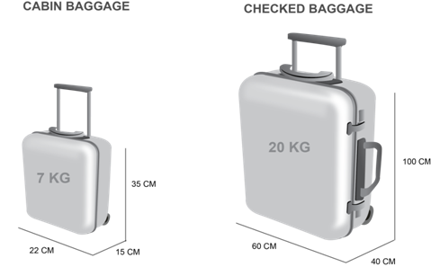 checked baggage 20kg